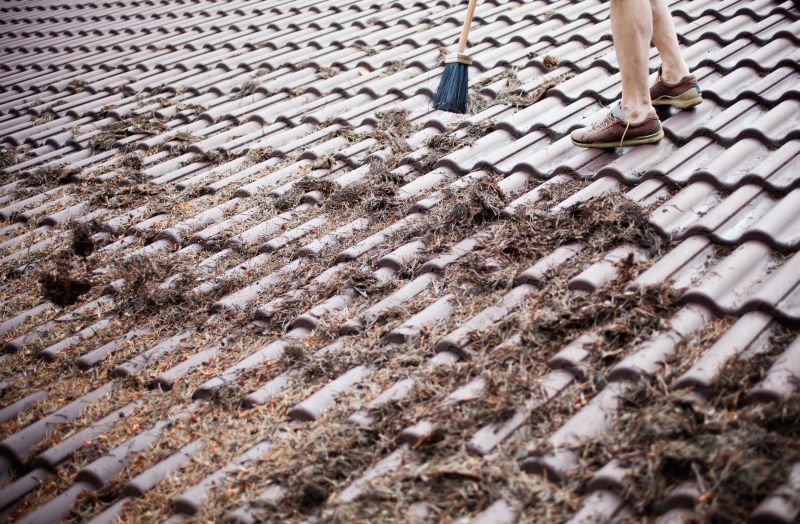 Tile Cleaning in Spring